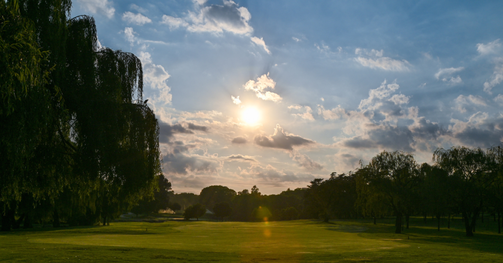 Scenic morning view of lush fairways at top golf courses in Gauteng