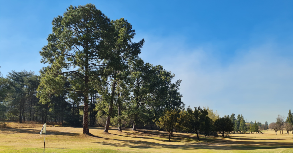 Scenic view of Modderfontein Golf Club in Johannesburg with rolling fairways, tall trees, and tranquil water features.